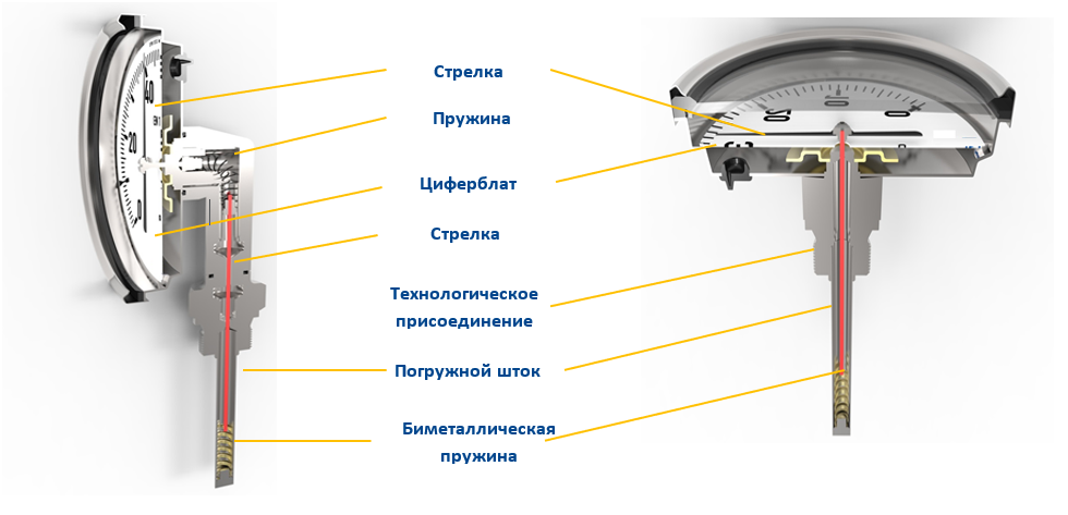 IMG1.png IMG1.png
